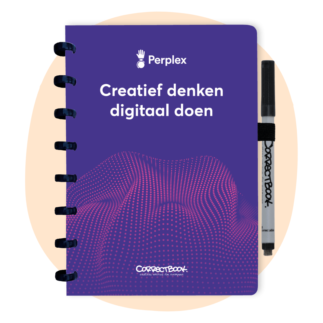 Correctbook Original B2B Perplex